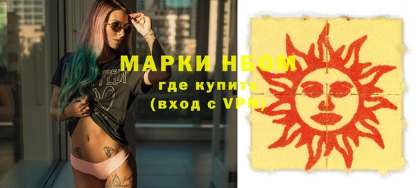 дмт Бородино