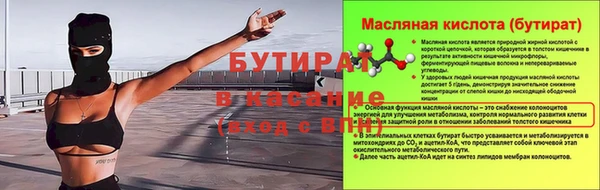 дмт Бородино