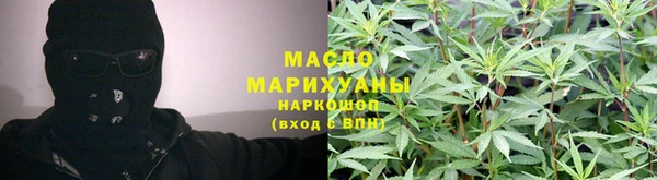 дмт Бородино