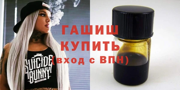дмт Бородино
