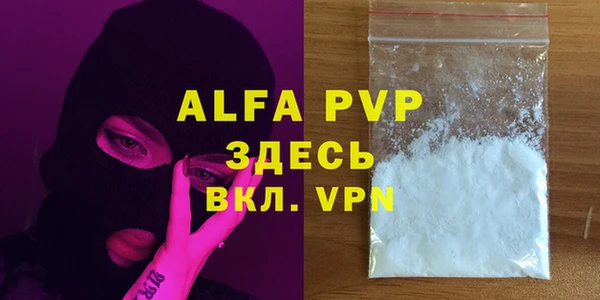 дмт Бородино