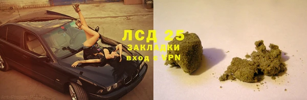 дмт Бородино
