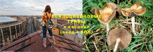 прущие крисы Бронницы