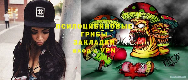 дмт Бородино