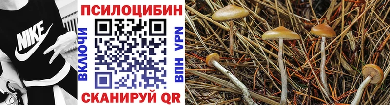 Псилоцибиновые грибы прущие грибы  Тотьма 
